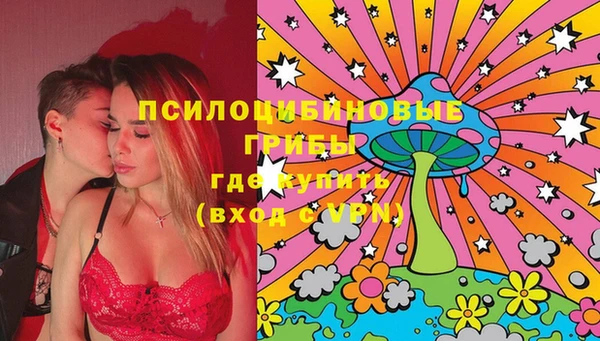 дживик Зерноград