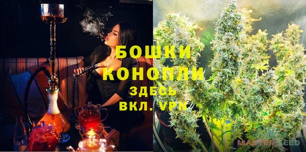 дживик Зерноград