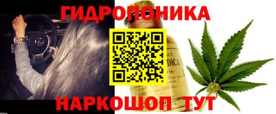 стафф Кандалакша