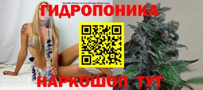 марки lsd Камышлов
